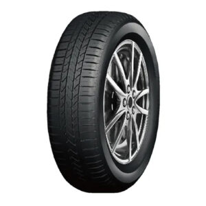 Double Coin 165/70 R13 79T Dc-80