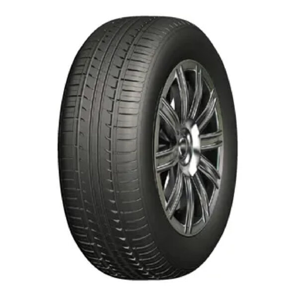 Double Coin 205/55 R16 91V Dc-90