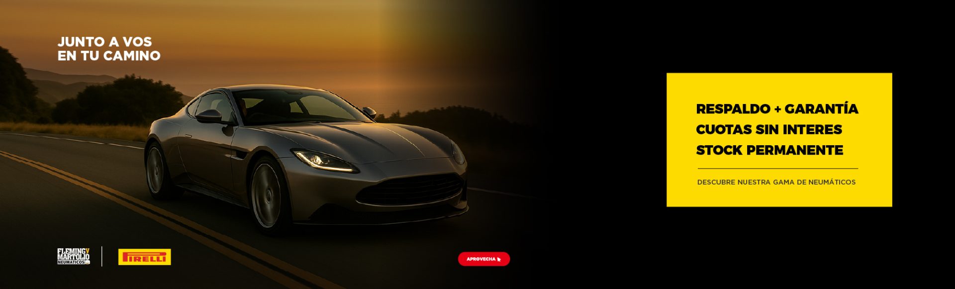 Fleming y Martolio - Lider número 1 en venta de Neumáticos